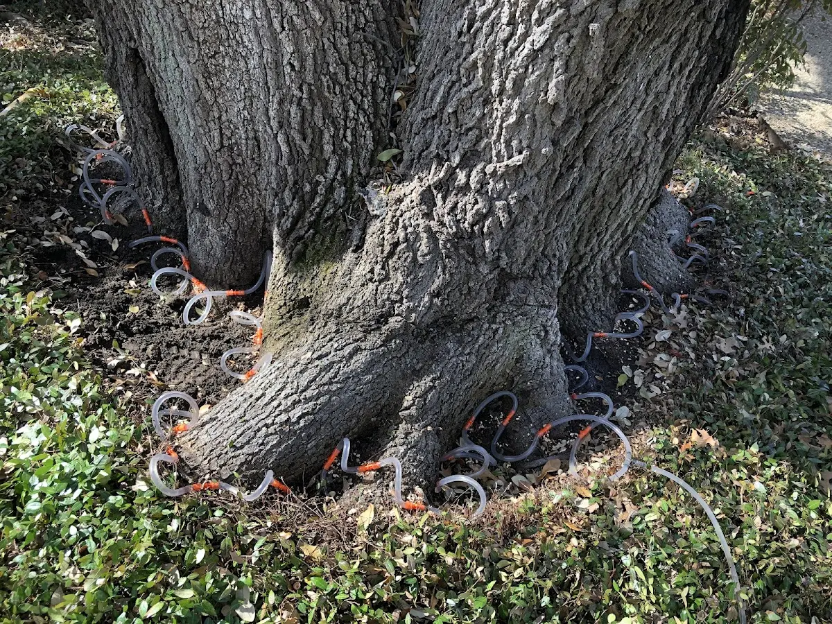 Detailed Shrub and Hedge Trimming job site in Mounds